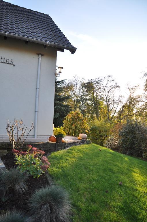 Chambres D'Hotes Les Chalinettes Fegersheim 외부 사진